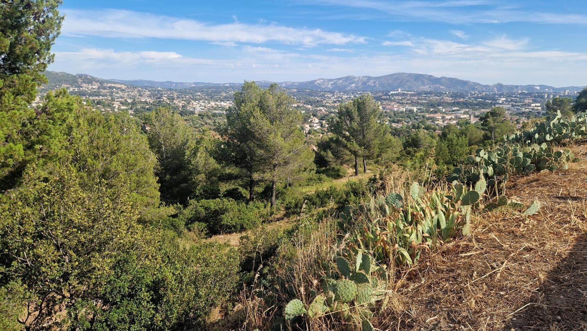 Le Cocon Marseillais Holiday home